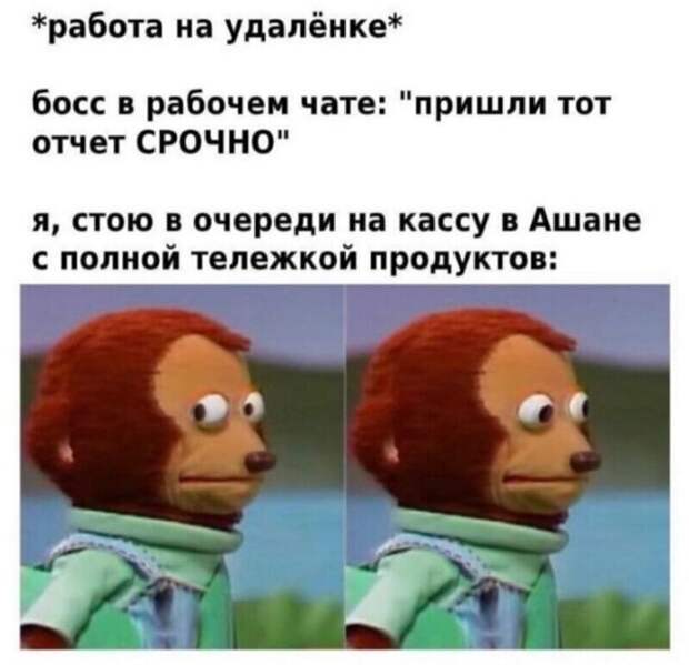 А как вам работается по жизни? А как вам работается по жизни?