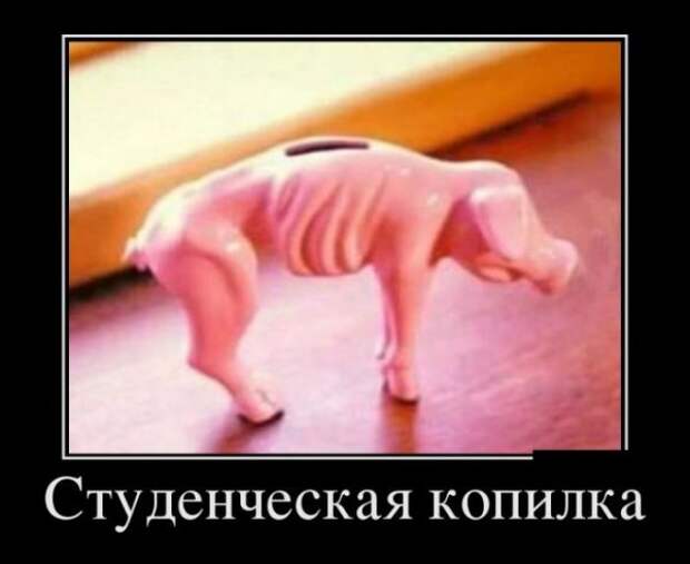 Обо всём.