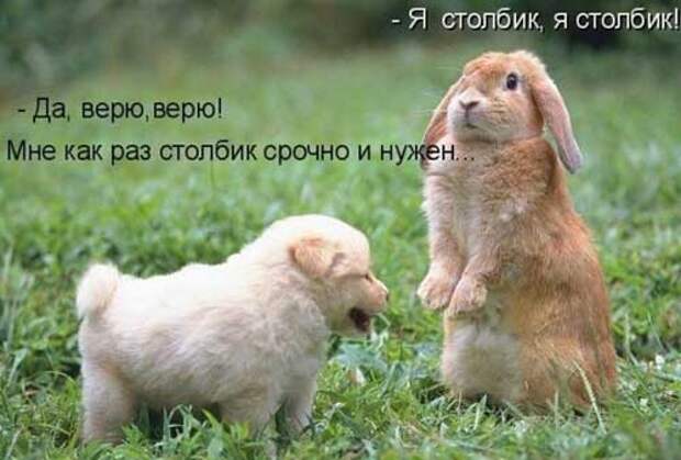 Смешные картинки с надписями про отношения (20 фото)