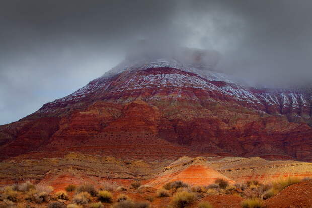 NewPix.ru - Фотограф Kevin McNeal - Zion National Park