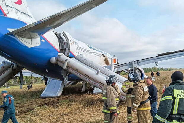Airbus-A320 аварийно сел в поле под Новосибирском. К пилотам возникли вопросы