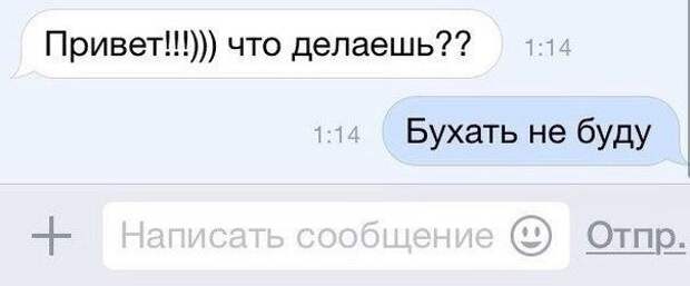 Понимает с полуслова друзья, прикол, юмор