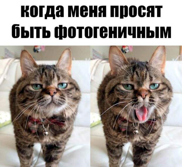 Прикольчики в стиле "Когда..." Прикольчики в стиле "Когда..."
