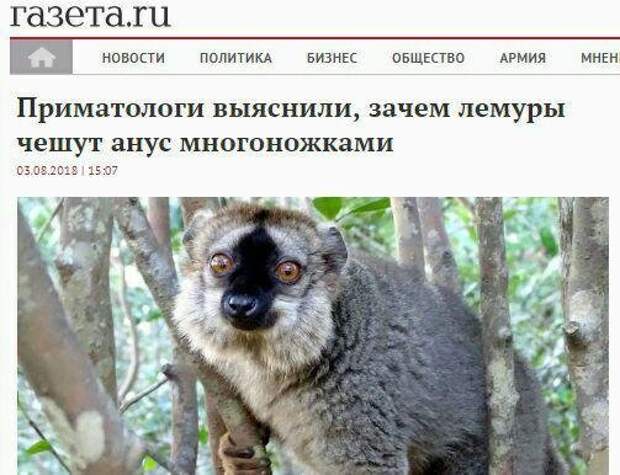 Интригующие заголовки отечественных СМИ завораживают Интригующие заголовки отечественных СМИ завораживают
