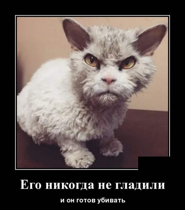 Демотиваторы (30 фото)