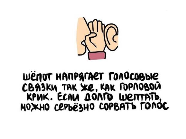 Короткие и интересные факты на все случаи жизни