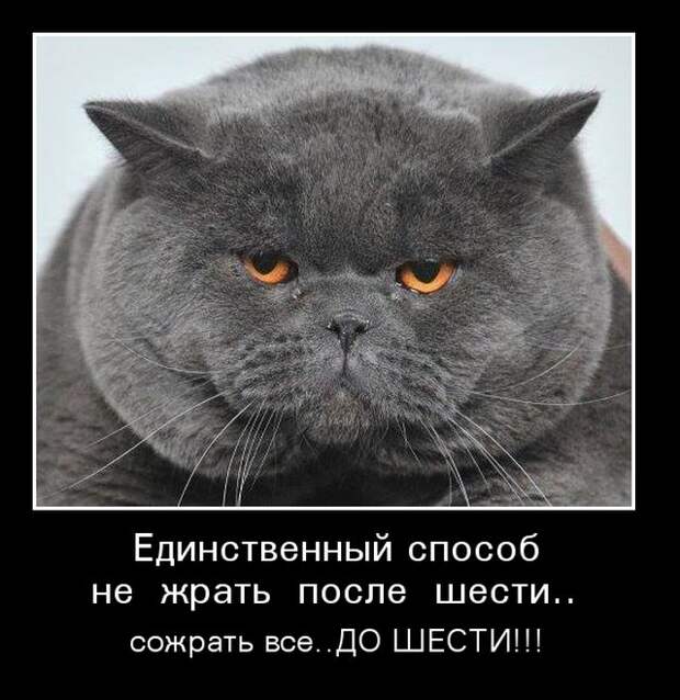 Демотиваторы (30 фото)