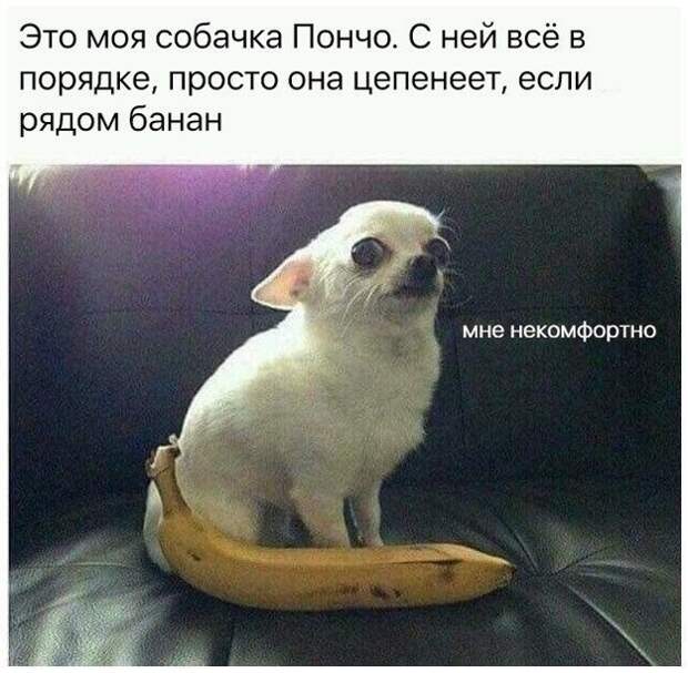 Смешные комментарии из социальных сетей Смешные комментарии из социальных сетей