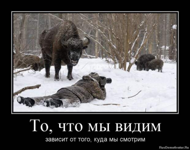 Подборка забавных и смешных демотиваторов для настроения (11 фото)