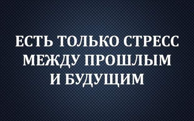 Подборка веселых картинок и фото с надписями до слез (11 фото) Подборка веселых картинок и фото с надписями до слез (11 фото)