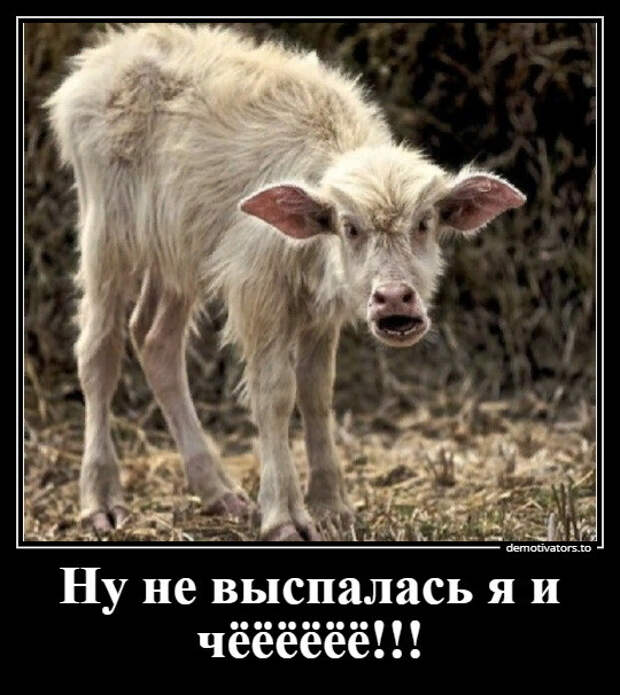Сборник демотиваторов для настроения (32 фото)