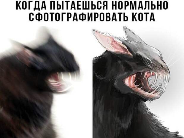 Паранормальных пикч