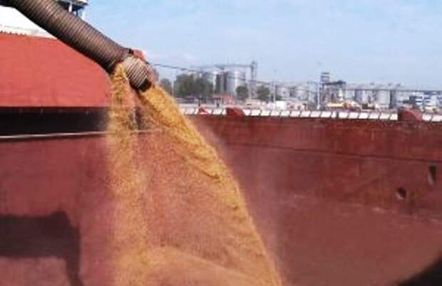 За январь на территории Астраханской области подготовили для отправки в Иран 135 тысяч тонн зерновых