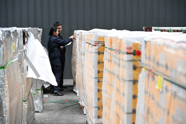 Контрабандисты попытались провезти через границу тонну оленьих пенисов