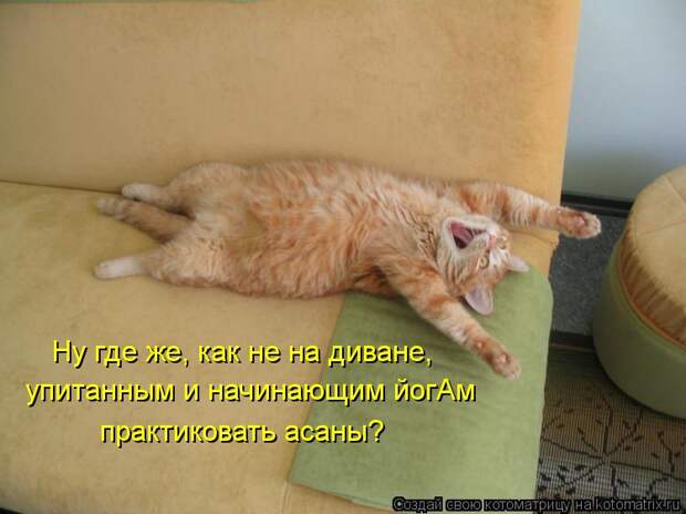 Котоматрица: Ну где же, как не на диване, упитанным и начинающим йогАм практиковать асаны?