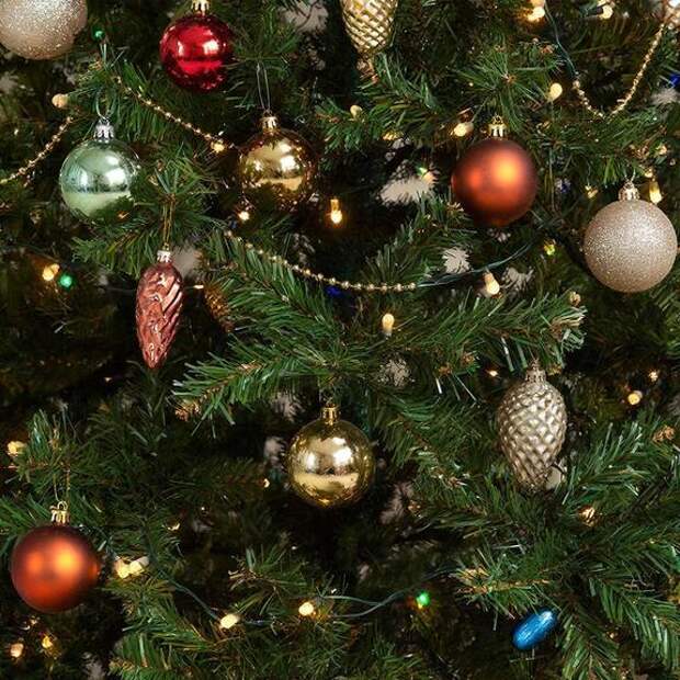 День энергетика в Ростове стал символом оторванности элит