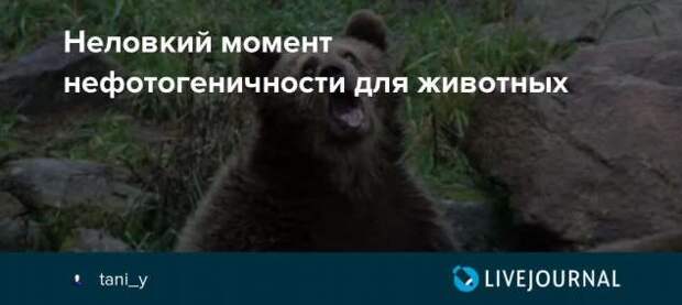 Тот самый неловкий момент. Чертовская Подборка chert-poberi-moment-chert-poberi-moment-30181230072020-14 картинка chert-poberi-moment-30181230072020-14