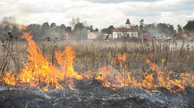 В Пермском крае пенсионерка сожгла 6 домов при попытке убрать сухую траву