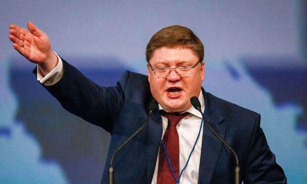Россиянам разрешили собирать валежник в лесу 