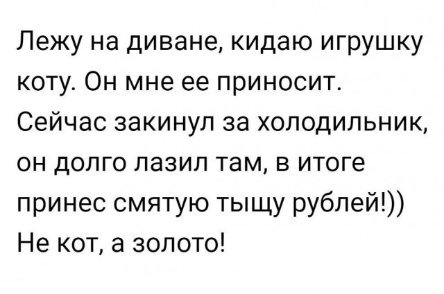 Смешные комментарии из социальных сетей Смешные комментарии из социальных сетей