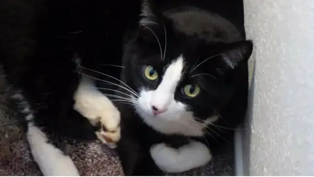 Другие Люди