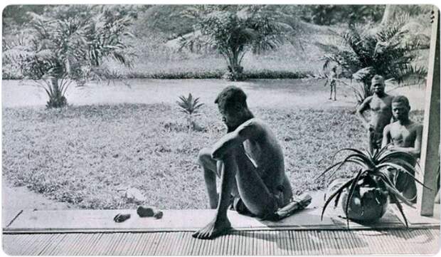 Капитализм опустил вас на уровень павианов, а ваших детей опустит на уровень шакалов, питающихся падалью..