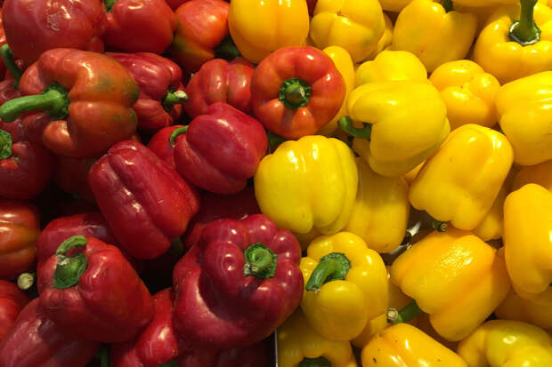 "Дом Лента": в России можно посадить перец сорта "Калифорнийское чудо"