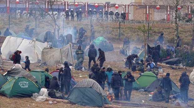 Украина обвинила Белоруссию в использовании “биологического оружия”