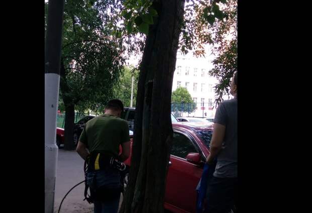 Для отчета инициатор спасательной операции выложила видео / Скриншот видеоролика