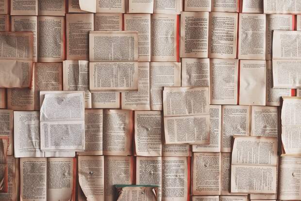 книги книгодарение пикча