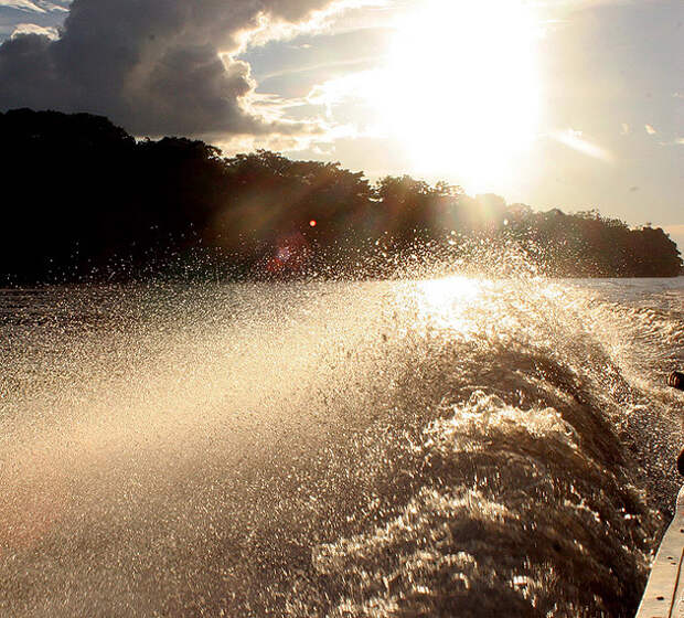 Amazonas Amazonas