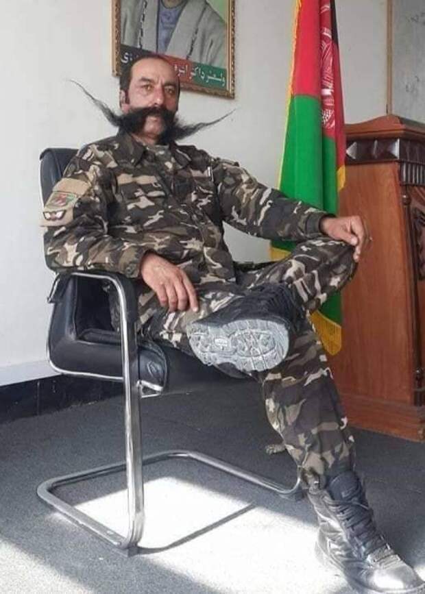 Подборка прикольных картинок