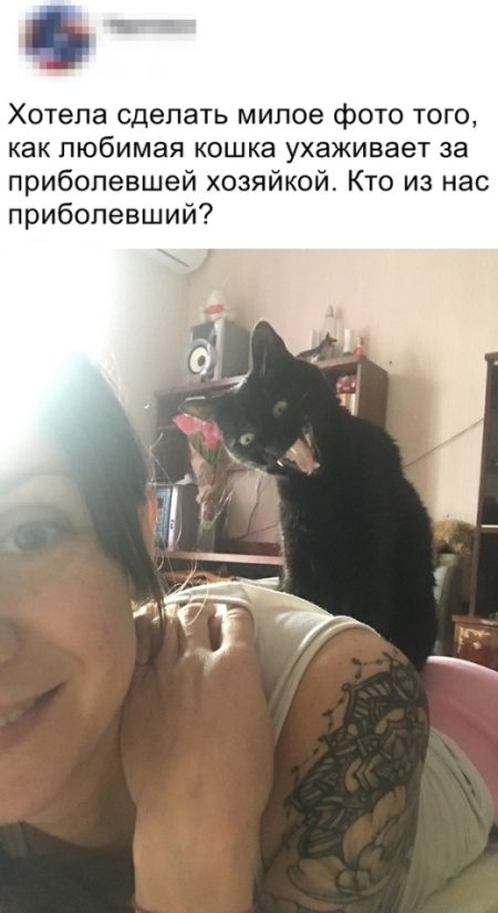 Доказано - от этих комментариев будет болеть живот!