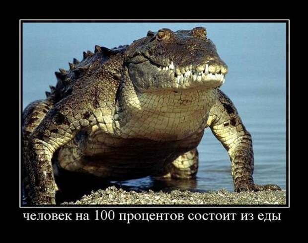 Забавные демотиваторы для веселья (11 фото) Забавные демотиваторы для веселья (11 фото)