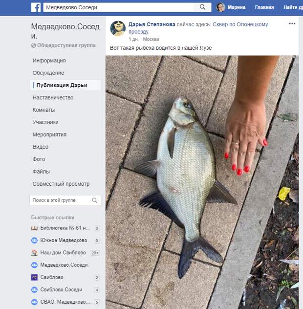 Добыча рыбака на Яузе удивила москвичку