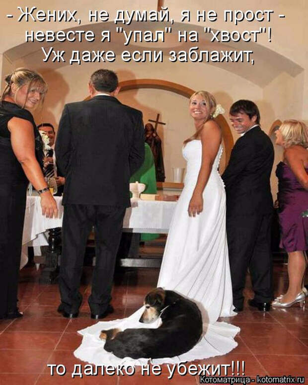 kotomatritsa_j (1) (560x700, 386Kb)