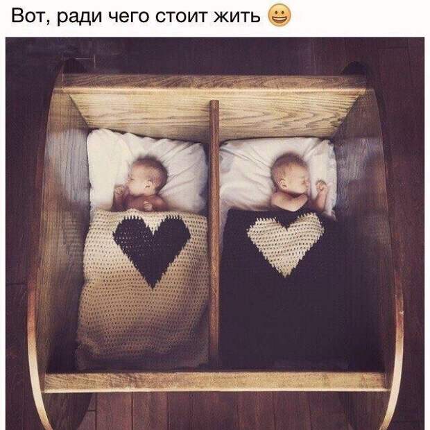 Позитивные фотографии на утро