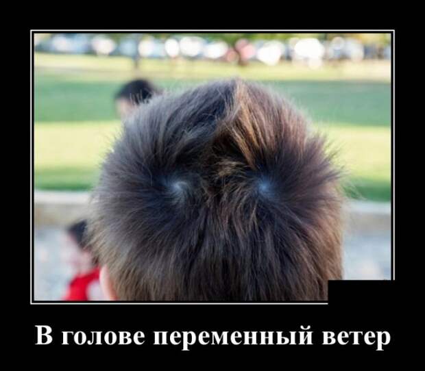 Демотиваторы (30 фото)