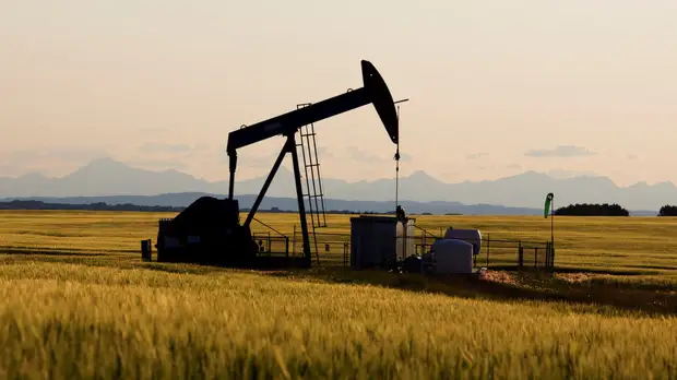 Цены на нефть растут