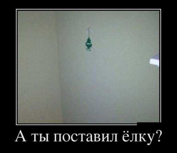 Новые демотиваторы (24 шт)