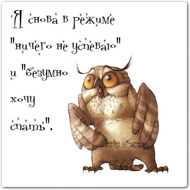 Прикольные картинки с надписями