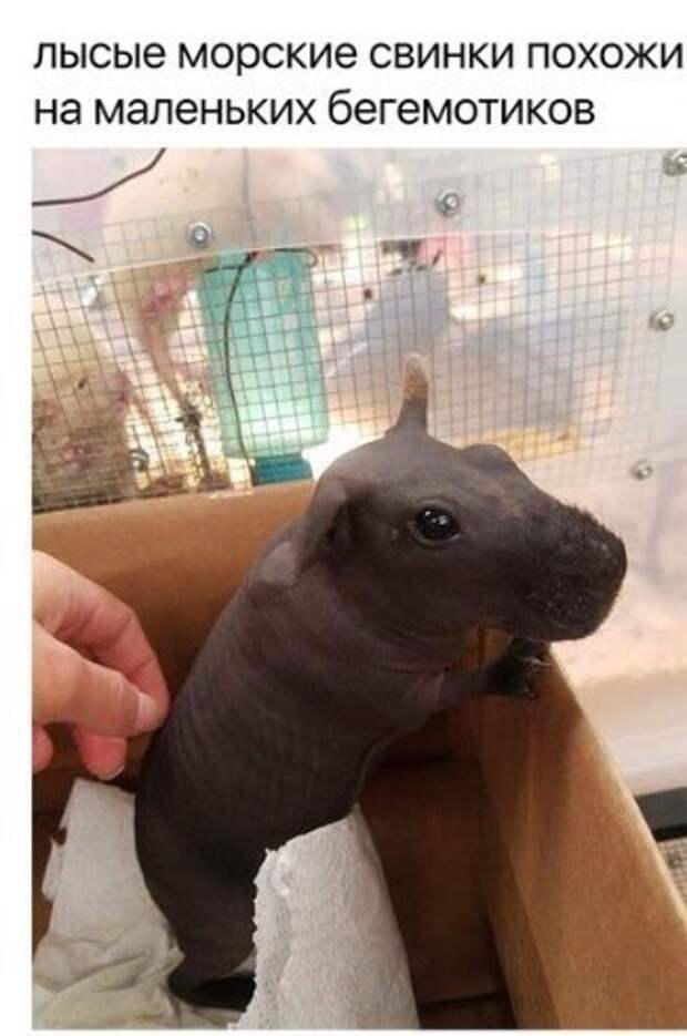 А Вы знали?