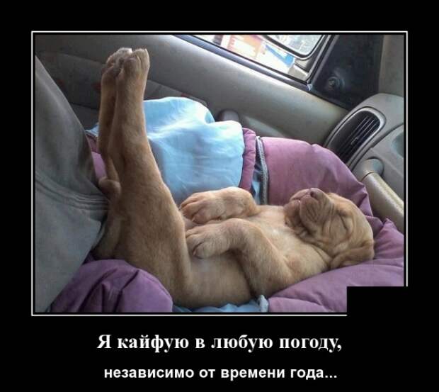 Демотиваторы смешные