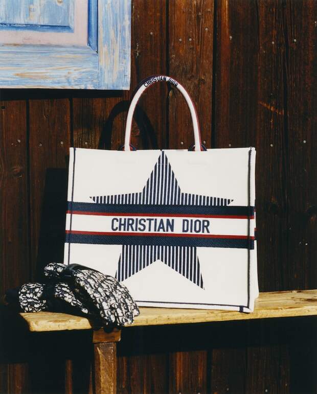 Сумка Dior Tote