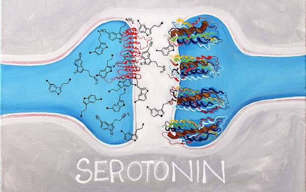 Картинки по запросу серотонин
