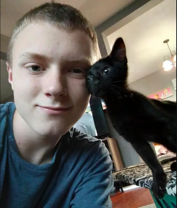 17 пушистиков, которые принесут вам большую порцию серотонина