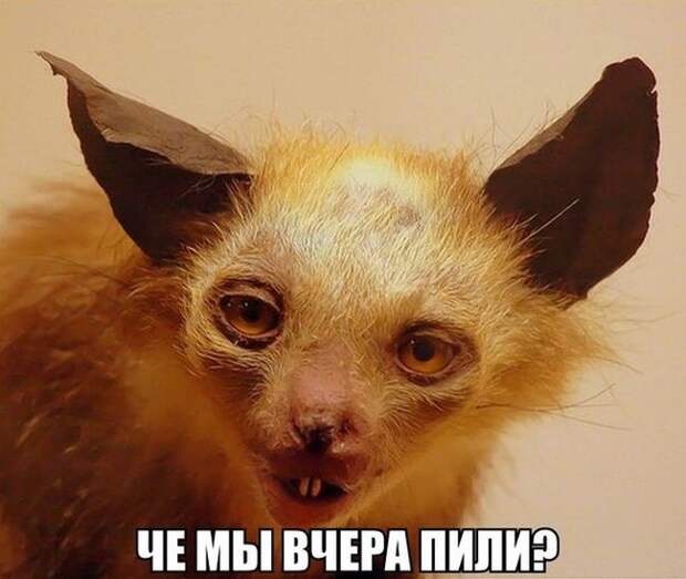 Прикольные картинки Прикольные картинки