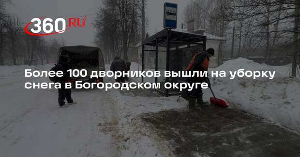 Более 100 дворников вышли на уборку снега в Богородском округе