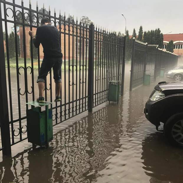 Всегда нужно быть готовым WTF?, бетонные джунгли, в городе, город, необычно, опасное место, опасность, прикол