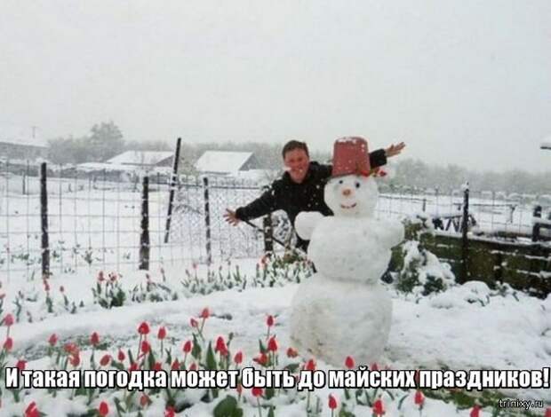 Весна уже пришла? Или пока еще нет? (23 фото)